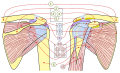 Thumbnail for version as of 18:55, 9 March 2018