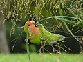 於 2017年10月17日 (二) 08:00 版本的縮圖