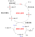 於 2019年1月12日 (六) 11:06 版本的縮圖