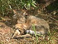 於 2005年7月19日 (二) 03:09 版本的縮圖