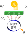 於 2011年10月2日 (日) 01:16 版本的縮圖