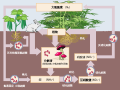 2021年10月2日 (六) 16:15版本的缩略图