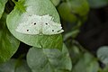 2018年12月30日 (日) 20:56版本的缩略图