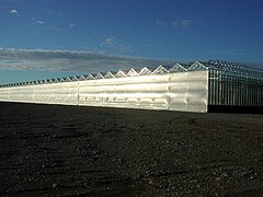 Modern glass greenhouse for bedding plants