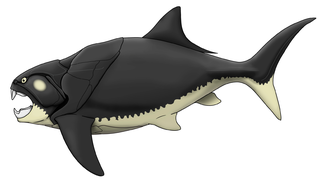 Dunkleosteus, one of the largest armoured fish ever to roam the planet, lived during the Late Devonian