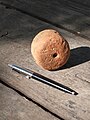 Loom weight discovered in Khirbet Abu esh-Sheba