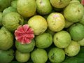 Apple guavas