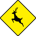 W 153 Deer or Wild Animals