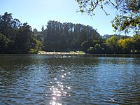 Beach at Lake Anza