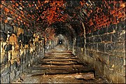 Ridge Lane abandoned tunnel