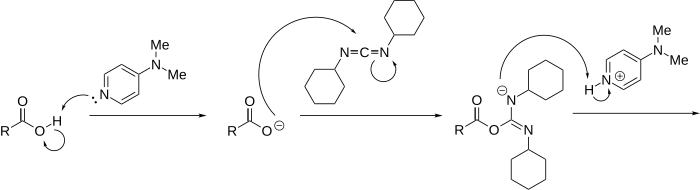 Mechanism Steglich reaction part 1