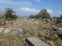 Օրգով ԱՄՐՈՑCastle