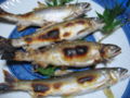 Ayu no shio yaki (Ayu grilled with salt)