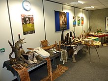 Item depicts three tables against a wall with various illegal wildlife items across them. Some items include skins, ivory, taxidermy, and shoes.