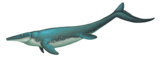 Ectenosaurus