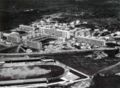 1955年的突尼斯体育馆