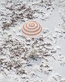 The Expedition 22 crew landed on Thursday, 18 March 2010.