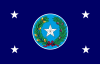 得克萨斯州州长旗