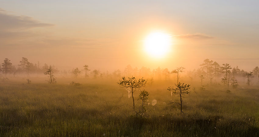 爱沙尼亚Põhja-Kõrvemaa自然保护区内Kõnnu Suursoo的日出