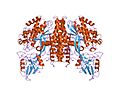 Transferrin receptor complex.[20]