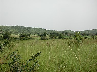 Savannah in Burkina Faso.