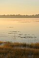 Mamukala Wetlands