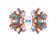 2ibw: Crystallographic and kinetic studies of human mitochondrial acetoacetyl-CoA thiolase (T2): the importance of potassium and chloride for its structure and function