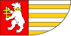 Flag of Radzyń Podlaski County