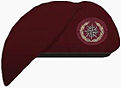 South African Special Forces beret