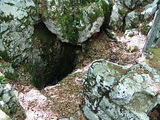 A photograph of a deep hole amid moss-covered rocks.