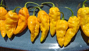 Yellow ghost pepper