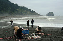 Five people from the Yurok tribe on a shore, a few are holding nets used to catch salmon while others are cleaning the fish