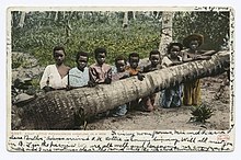 Postcard photograph of eight black children kneeling against a felled palm tree in a tropical forest