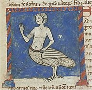 Siren in a bestiary, Bibliothèque Nationale, Latin 6838 B