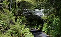 Isolated bridge and native flora at Pukematekeo