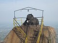 Nandi 'Bull', atop Shivagange Hills, Tumkur