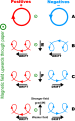 Charged particle drifts due to Lorentz force by Stannered