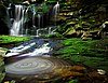 Water goes over a rocky waterfall, past mossy rocks into a swirling pool.