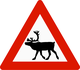 挪威的驯鹿横越标志
