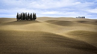 Typical landscape of the Val d'Orcia