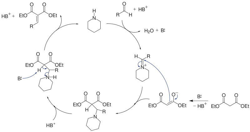 Knoevenagel反应机理 1