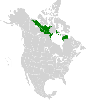 Ecoregion territory (in green)