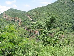 Nallamalla forests at Ahobilam