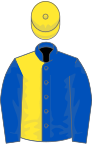 Royal blue and yellow (halved), royal blue sleeves, yellow cap