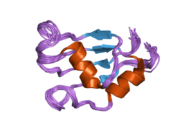 2hgn: NMR structure of the third qRRM domain of human hnRNP F