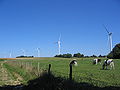 Wind turbines of Repaix