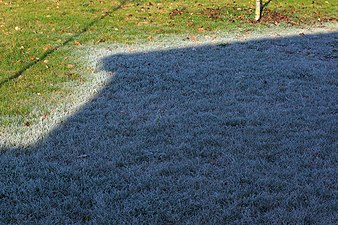 Grass partially covered in hoarfrost, 2008