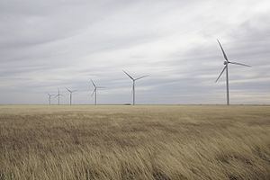 Wind farm near South Plains