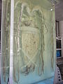 地球环境厅的圣保罗大王鱿鱼（法语：Architeuthis sanctipauli）标本