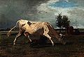 Constant Troyon. Cow chased by a dog, date unknown.